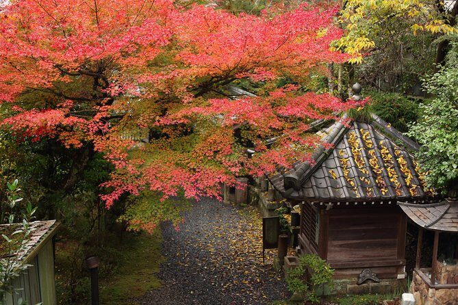 Kimono and Tea Ceremony in Miyajima - A Closer Look at the Tour Experience