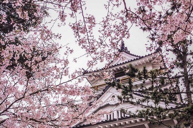Kimono Walk and Tea ceremooy and sake in Historic Kitsuki Castle - A Closer Look at the Tour Experience