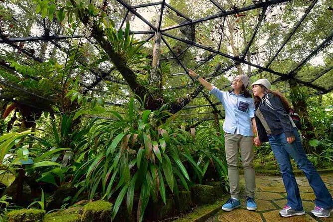 Kinabalu National Park Tour - Key Points