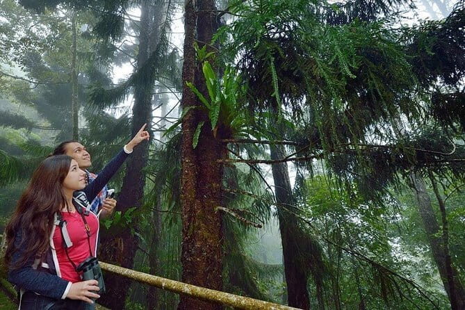 Kinabalu National Park Tour - A Deep Dive into the Kinabalu National Park Tour