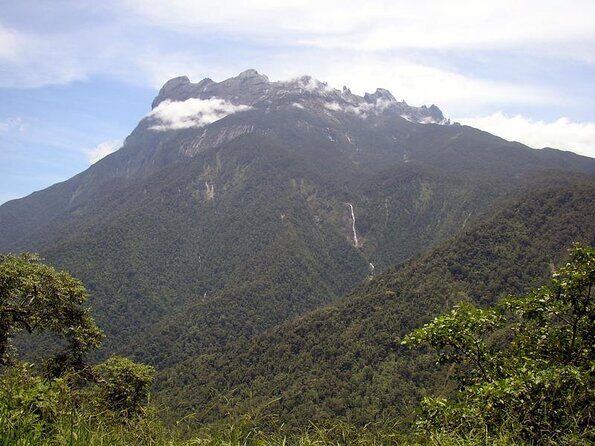 Kinabalu Park & Poring Hot Spring & Canopy Walk - Introduction