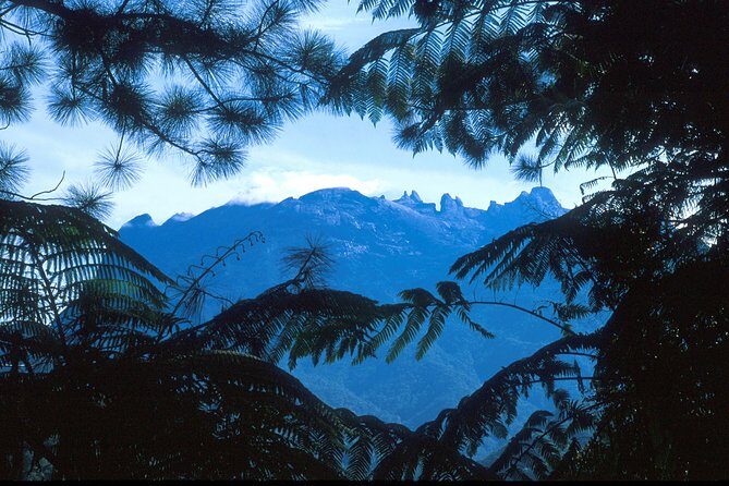 Kinabalu Park & Poring Hot Spring Tour - The Verdict: Is This Tour Worth It?