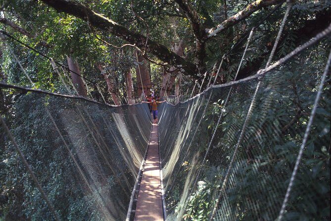 Kinabalu Park & Poring Hot Spring Tour - FAQ
