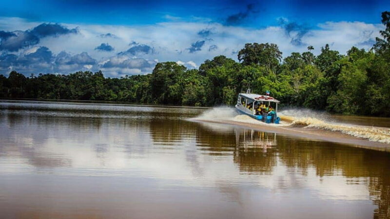 Kinabatangan River Trip from Sandakan with Lunch Included - Final Thoughts
