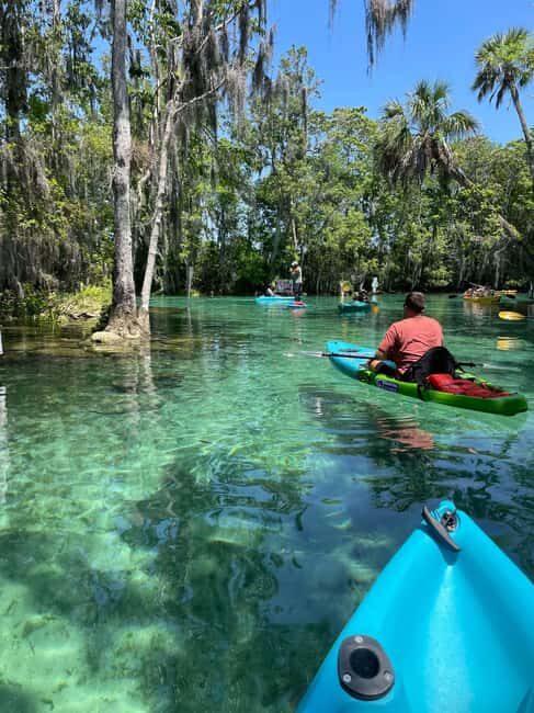 Kings Bay, Crystal River: Gentle Sunrise Manatee Kayak Tour - FAQ