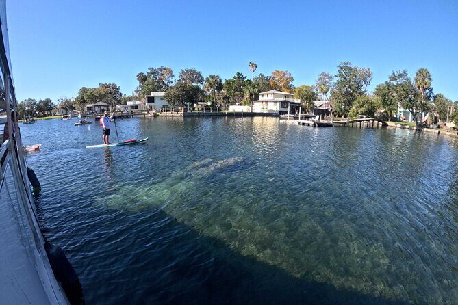 Kings Bay Manatee Watching Cruise - Starting Point and Meeting Details