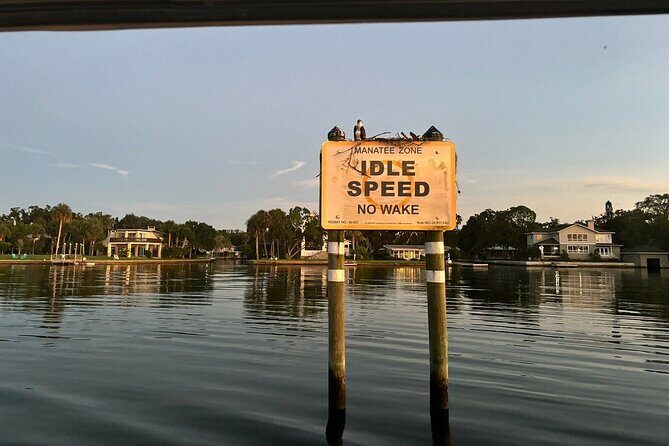Kings Bay Manatee Watching Cruise - The Experience in Context