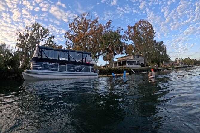 Kings Bay Manatee Watching Cruise - Some Missed Opportunities