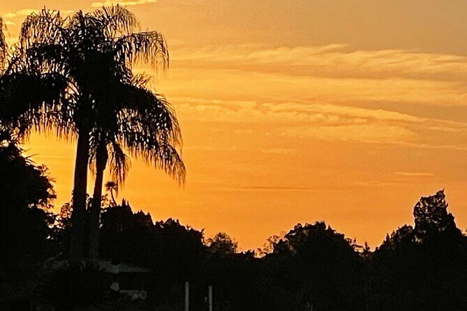 King's Bay Sunset Cruise - The Sum Up: Why You Should Consider the Kings Bay Sunset Cruise