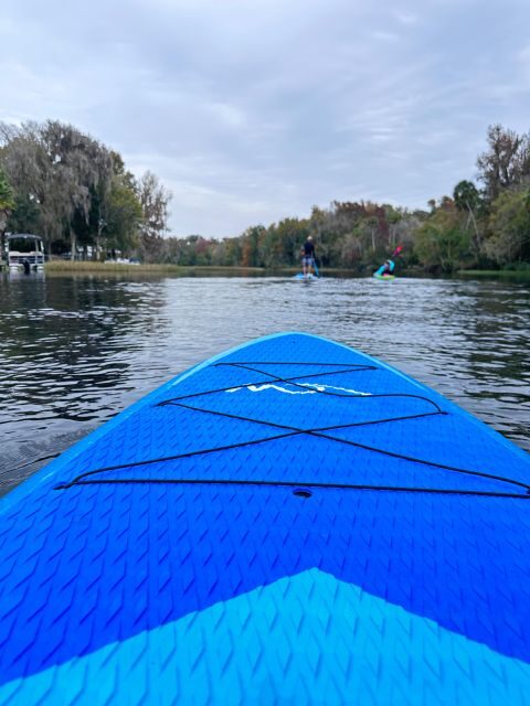 Kings Bay/Three Sisters: Self Guided Tour- ClearBottom Kayak - The Reviews: Authentic Impressions