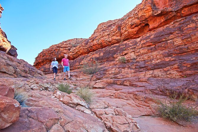 Kings Canyon Day Trip from Ayers Rock (Uluru) - The Journey Begins: From Uluru to Kings Canyon