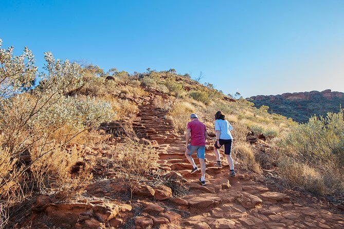 Kings Canyon Day Trip from Ayers Rock (Uluru) - The Scenic Return and Final Impressions