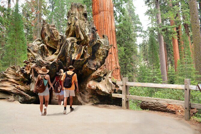 Kings Canyon National Park Self-Guided Audio Tour - How the Itinerary Breaks Down