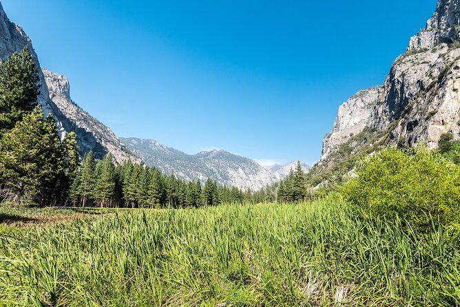 Kings Canyon National Park Self-Guided Audio Tour - The Sum Up