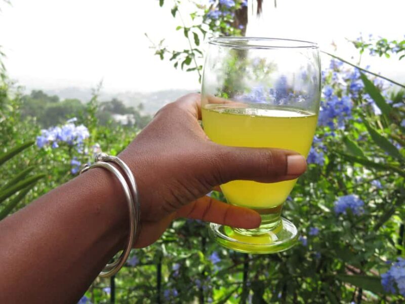 Kingston Blue Mountains Tour with Coffee Tasting - Who Will Love This Tour?