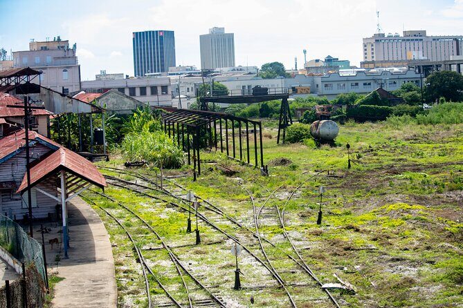 Kingston City Classic Guided Tour - Authentic Experiences & Traveler Feedback