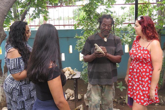 Kingston City Tour (starting in Kingston) - Authentic Experiences and Genuine Insights