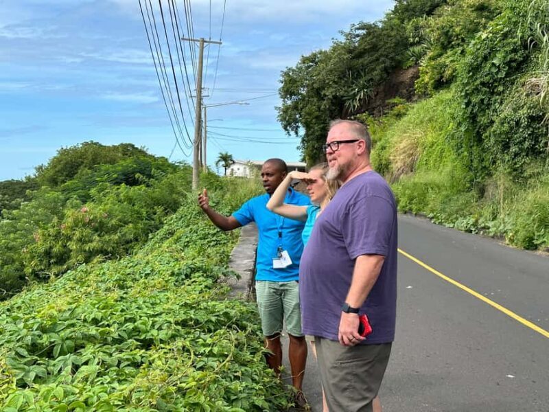 Kingstown: Cascading Dark View Falls and Beach Tour - Key Points