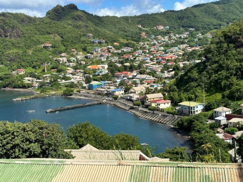Kingstown: Cascading Dark View Falls and Beach Tour - What’s the Real Value?