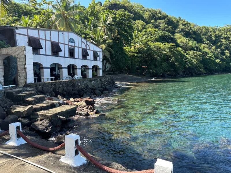 Kingstown: Cascading Dark View Falls and Beach Tour - Authentic Experiences and Local Flavor