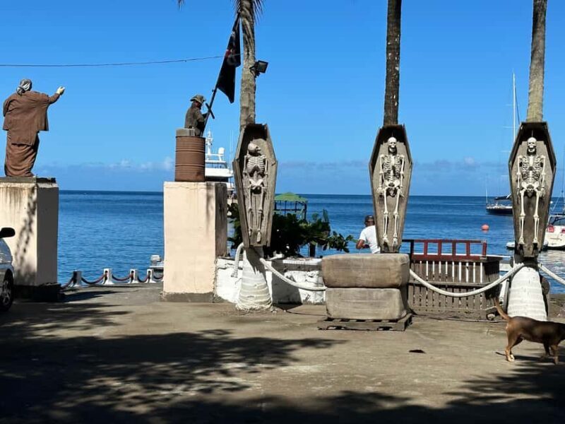 Kingstown: Cascading Dark View Falls and Beach Tour - Who Will Love This Tour?