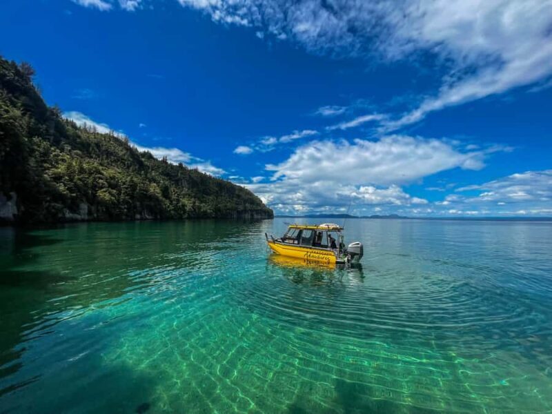Kinloch: Lake Taupo Catamaran Cruise with Paddleboarding - Secluded Beach and Picnic Opportunities