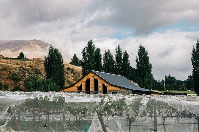 Kinross Winery: Pinot Noir Wine Tasting Experience - Introduction: A Snapshot of the Kinross Pinot Noir Experience
