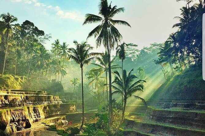 Kintamani and Tukad Cepung Waterfall Tour - Who Would Love This Tour?