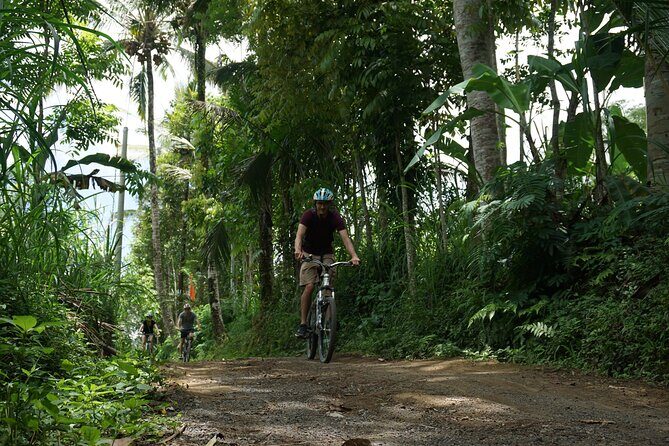Kintamani Cultural and Nature Cycling Tour ( Manual Bike ) - An In-Depth Look at the Tour Experience