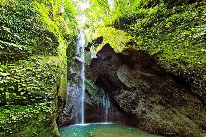 Kintamani Volcano View Tour - Who’s This Tour Best For?