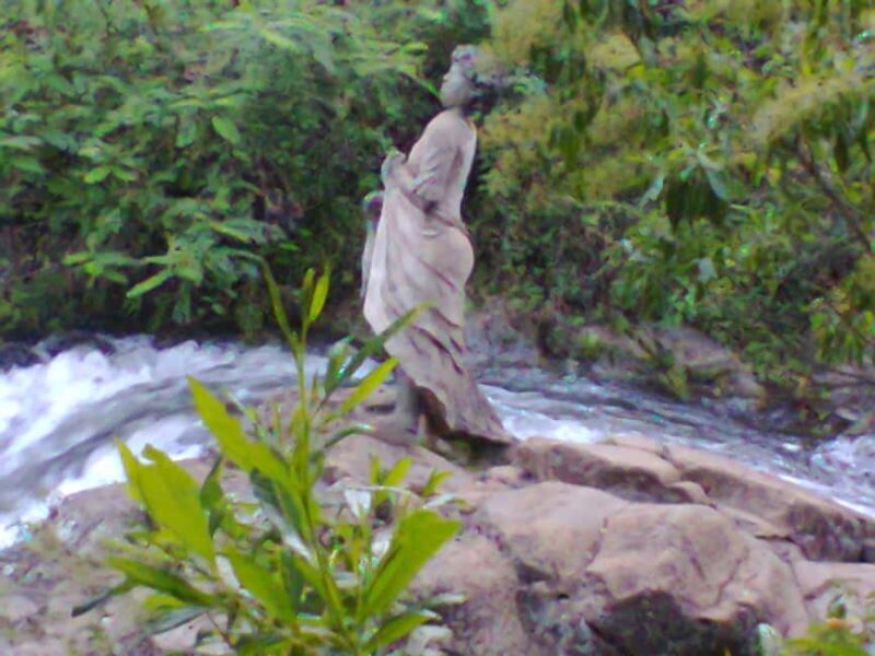 Kinuka Mori: Cultural and Nature day Trip with Lunch - Key Points