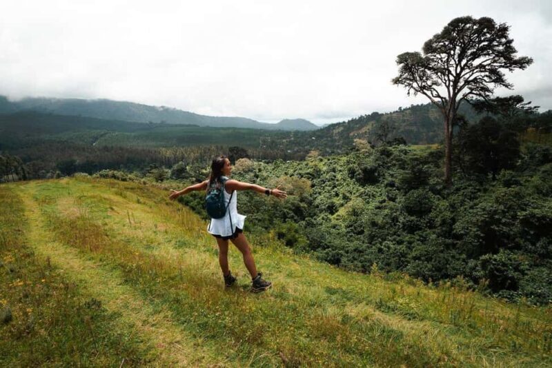Kinuka Mori: Cultural and Nature day Trip with Lunch - Practical Tips for the Trip