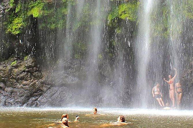 Kinukamori Waterfalls, Ancient Caves & Cultural Day Tour - Who Guides the Tour?