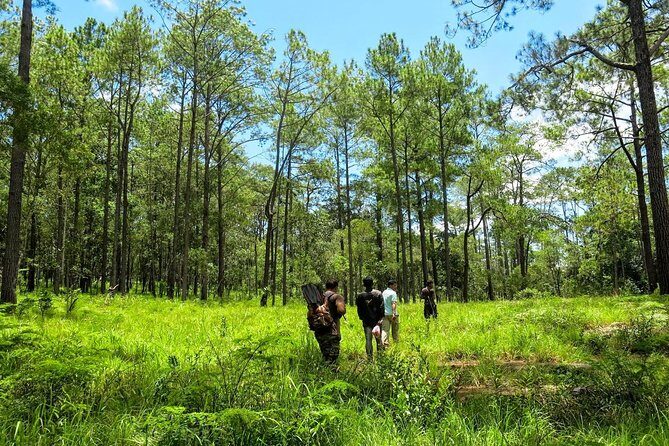 Kirirom National Park Private Day Tour from Phnom Penh - An Informative Look at the Kirirom National Park Private Day Tour