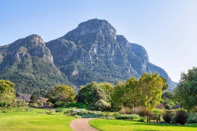 Kirstenbosch Botanical Garden and Constantia Wine Region - Key Points