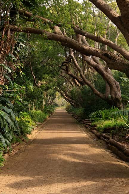 Kirstenbosch Botanical Garden and Constantia Wine Region - Exploring Kirstenbosch Botanical Garden