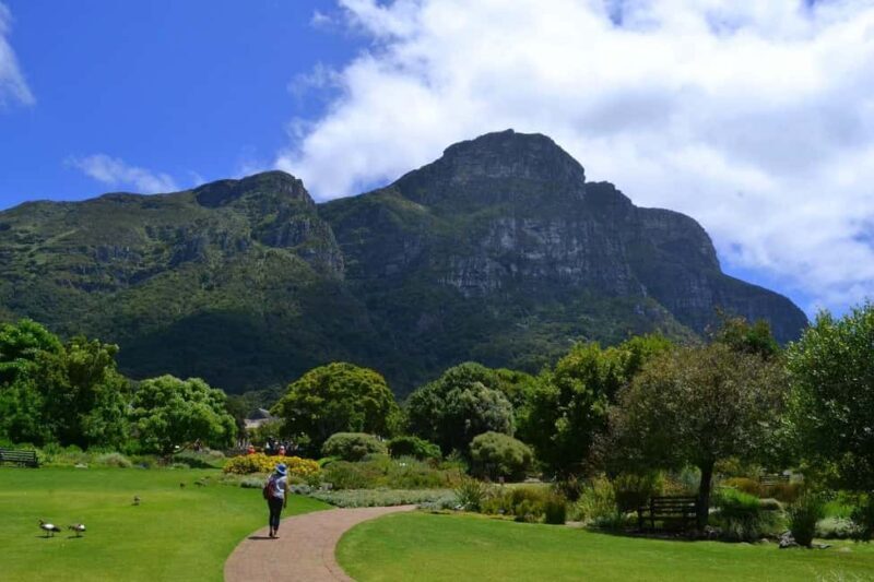 Kirstenbosch Botanical Garden and Constantia Wine Region - Wine Tasting at Historic Estates