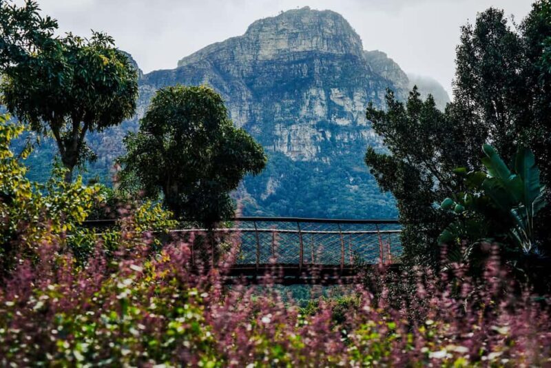 Kirstenbosch Botanical Garden & Constantia Wine Valley Tour - Exploring the Day in Detail