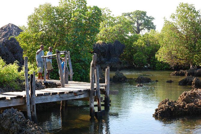 Kisite Marine Park Private Boat Snorkeling with breakfast & Lunch - The Sum Up: Who Will Love This Tour?