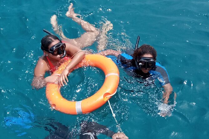 Kisite Mpunguti Day Trip. A day of Oceanic Wonders - The Value Proposition