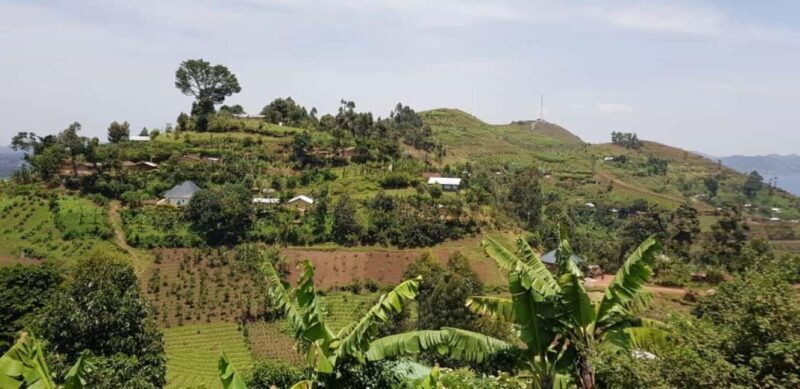 Kisoro: Coffee Village Tour with Hands-On Coffee Making - Exploring the Kisoro Coffee Village Tour