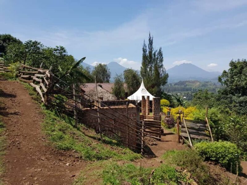 Kisoro: Coffee Village Tour with Hands-On Coffee Making - What to Keep in Mind
