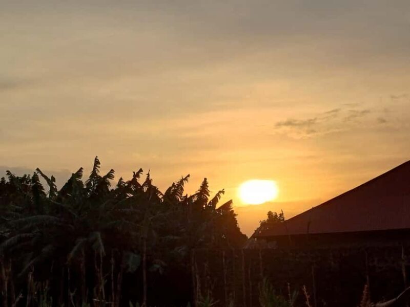 Kisoro: Hiking and Coffee Tour - The Value Proposition