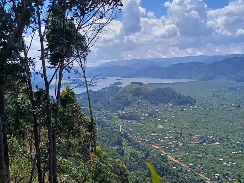 Kisoro: Hiking and Coffee Tour - Who Will Enjoy This Tour?