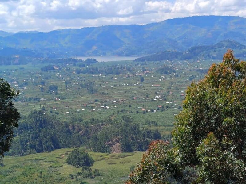Kisoro: Hiking and Coffee Tour - FAQs