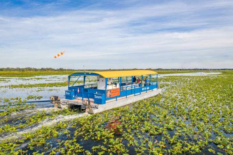 Kissimmee: 1 Hour Florida Everglades Pontoon Boat Tour - What the Tour Entails