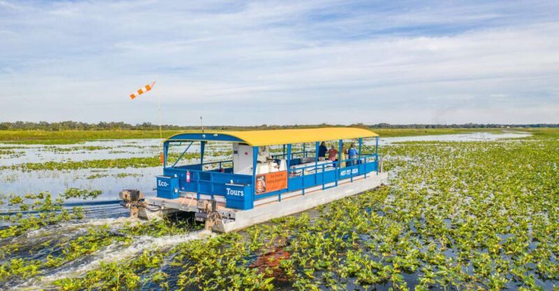 Kissimmee: 1 Hour Florida Everglades Pontoon Boat Tour - What Makes This Tour Special