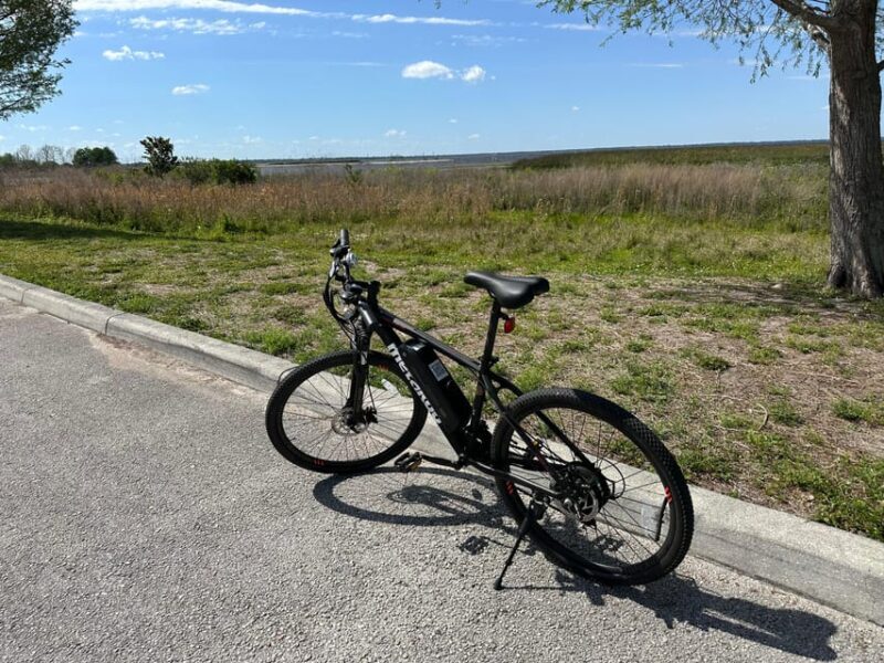 Kissimmee: 4-Hour All Electric Mountain Bike Lakefront Tour - Who Is This Tour Best For?
