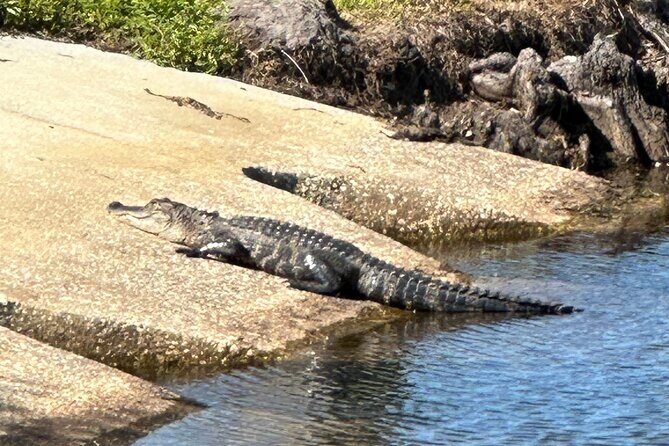 Kissimmee and St. Cloud Beach Tour on All Electric Trike (3 hrs.) - Final Thoughts: Who Will Love This Tour?