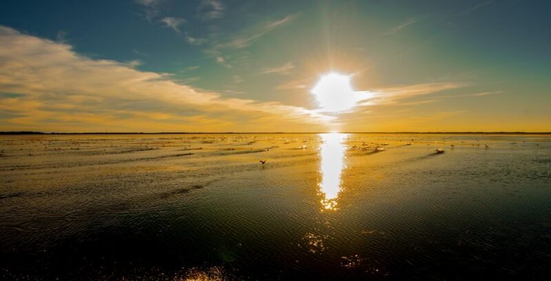 Kissimmee: Boggy Creek Sunset Airboat Tour - Who Should Consider This Tour?